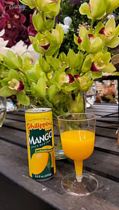 フィリピンマンゴージュース 8.4 fl.oz - Weee!