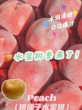 桃仙 This Zero-Mileage 1996 Kawasaki ZX7-RR Is Priced At RM224