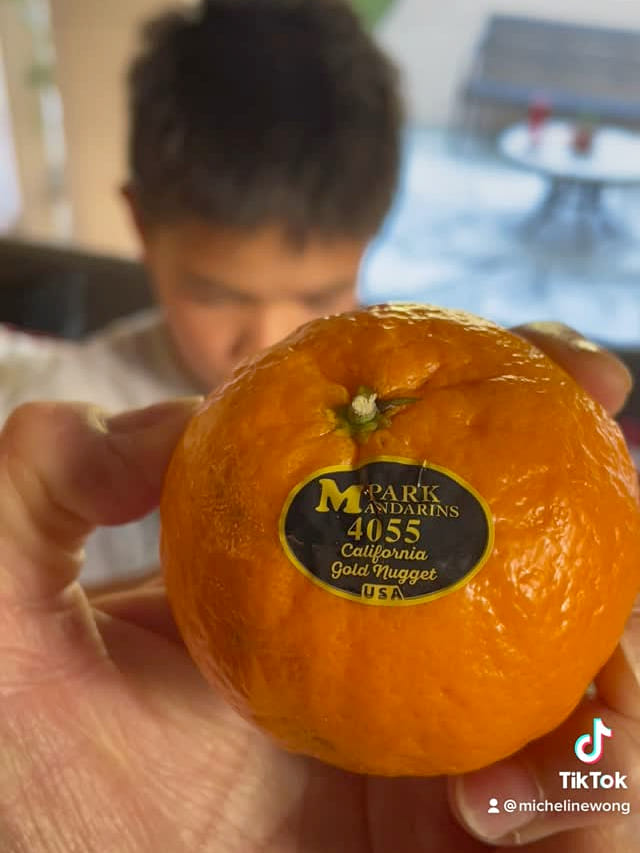 超美品 Golden Nugget Orange ゴールデンナゲット オレンジ Golden Nugget Mandarins