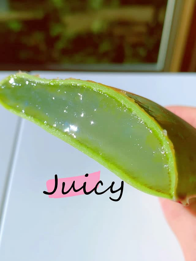 vorteile aloe vera trinken Großpackung mit Nahrungsergänzungsmitteln zur Herzunterstützung – 95 % Aloe- Vera-Saft