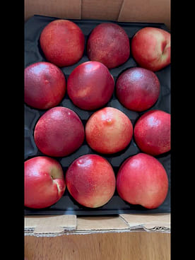 Get White Nectarine Gift Box 4 lb Delivered | Weee! Asian Market