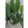 user_avatar
