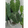 user_avatar