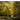user_avatar