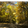 user_avatar