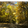 user_avatar