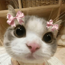 Weee!
