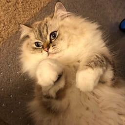 Weee!