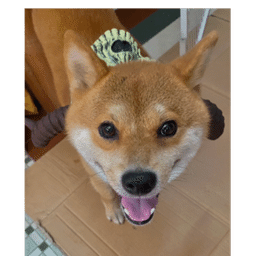 Weee!