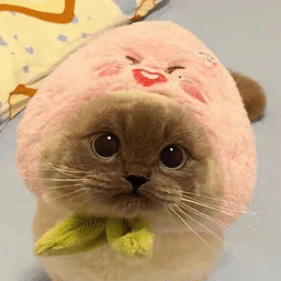 Weee!