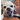 user_avatar