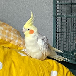 Weee!