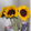 user_avatar