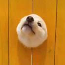 Weee!