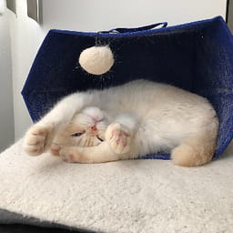 Weee!