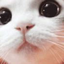 Weee!