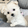 user_avatar