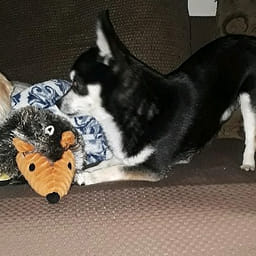 Weee!