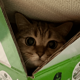 Weee!